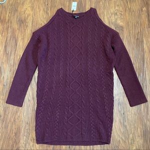 Express sweater dress